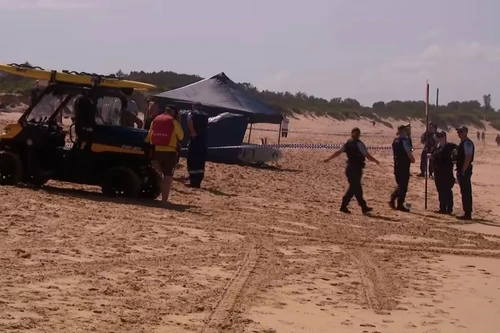 Đang lướt ván, người đàn ông 57 tuổi bị cá mập tấn công tử vong