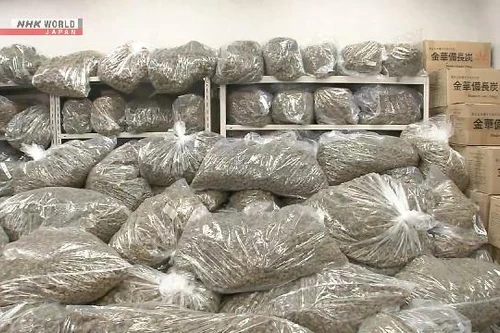 Bộ Ngoại giao thông tin vụ Nhật Bản bắt 3 công dân Việt Nam tàng trữ 1 tấn cần sa khô