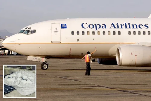 Nhầm bỉm là bom, máy bay chở 144 hành khách phải quay đầu