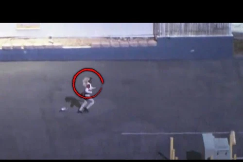 Bị cảnh sát truy đuổi gắt gao, nghi phạm đánh rơi bộ tóc giả 