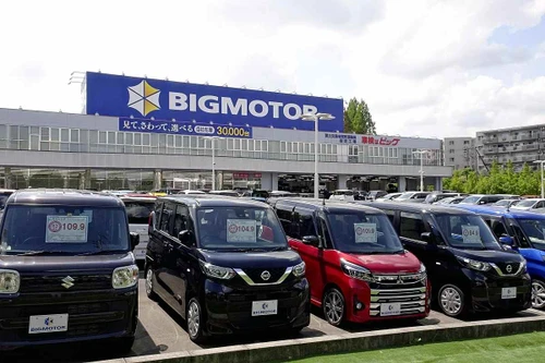 Nghi dùng thuốc diệt cỏ làm chết cây trên vỉa hè, 9 cửa hàng bị khám xét