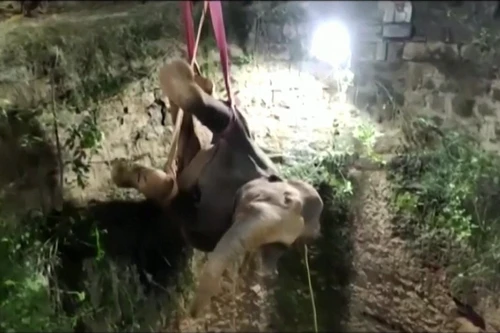 Ấn Độ dùng cần cẩu cứu con voi bị mắc kẹt dưới giếng sâu