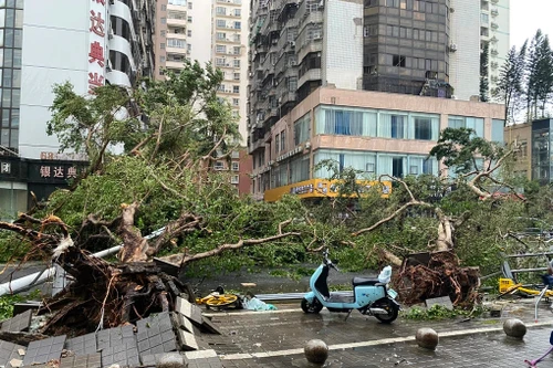 Ít nhất 2 người thiệt mạng do bão Yagi ở Trung Quốc