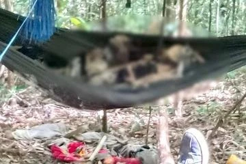 [Tin nhanh sáng 24-8-2022] Phát hiện 2 bộ xương trên võng mắc trong rừng