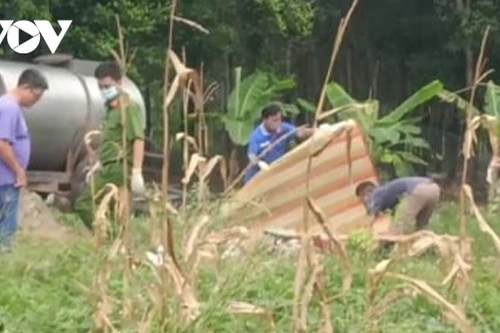 [Tin nhanh sáng 11-11-2020] Vợ chồng tử vong bất thường trong bồn nước ở Bình Dương