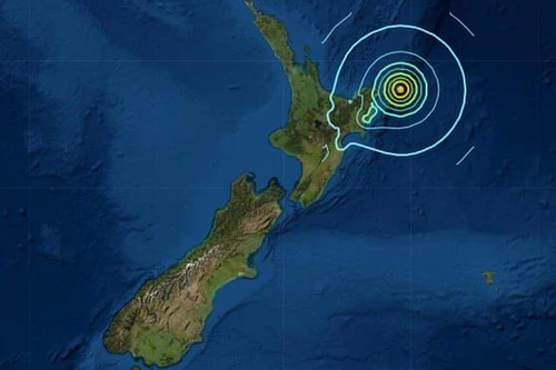 Liên tiếp cảnh báo sóng thần sau loạt động đất mạnh ở New Zealand