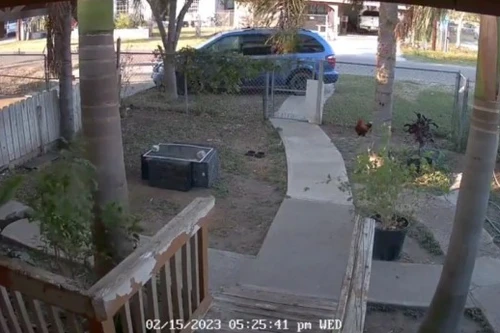 Khoảnh khắc thiên thạch rơi xuống bang Texas của Mỹ