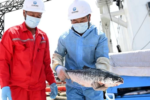 Tokyo hoan nghênh việc Trung Quốc nối lại nhập khẩu hải sản Nhật Bản