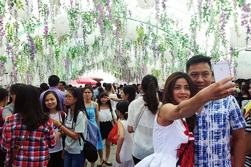 Lễ hội Hoa Tử Đằng – Nét văn hóa đến từ Nhật Bản