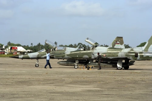 Không kích tại Somalia, 100 chiến binh al-Shabaab bị tiêu diệt