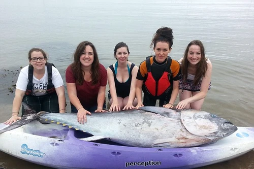 5 cô gái trẻ bắt được con cá ngừ vây xanh trị giá 36 tỷ đồng