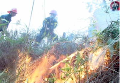 Lạng Sơn: Trẻ chăn trâu đốt lửa sưởi ấm, gây cháy rừng thông