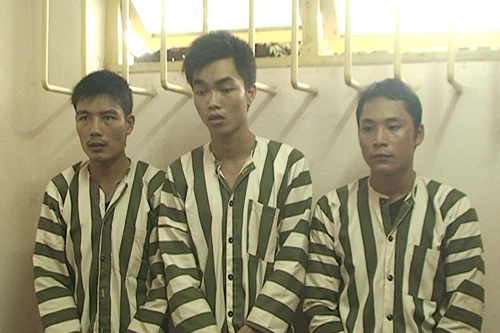 Đe dọa, khống chế bảo vệ để… cướp gỗ sưa