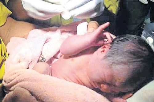 Bé gái sơ sinh được chó hoang cứu sống