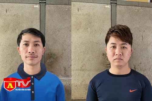 Làm giả giấy tờ để lừa đảo chiếm đoạt tài sản, hai anh em ruột bị bắt giữ