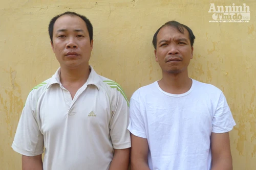 Buôn bán trái phép động vật hoang dã: Một vốn... hàng chục lời