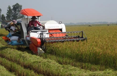 LienVietPostbank dành 6.000 tỷ đồng cho vay khu vực nông nghiệp