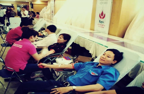 Gần 500 cán bộ, công nhân viên Hapro tham gia hiến máu