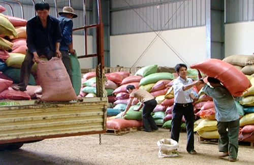 Vietcombank dành 4.000 tỷ đồng cho vay thu mua tạm trữ thóc, gạo 