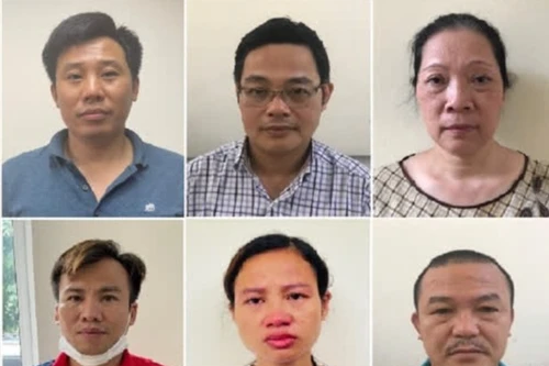 Truy tố 15 bị can liên quan vụ “thổi giá” cây xanh