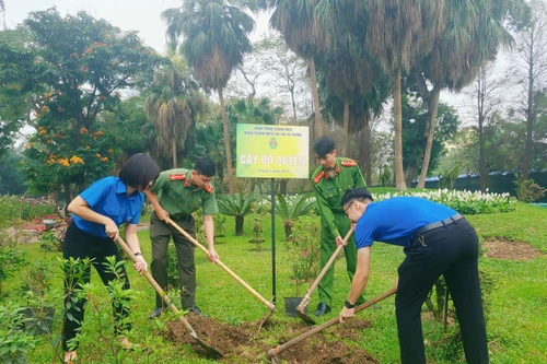 Ươm thêm 50 mầm xanh ý nghĩa trong công viên Thống Nhất