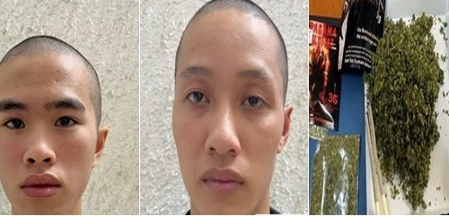 Khởi tố cặp đôi chuyên cung cấp ma túy loại MDMB-4en-pinaca 