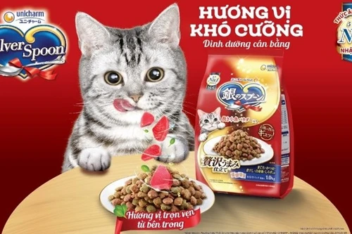 Thương hiệu thức ăn cho mèo số 1 Nhật Bản sắp có mặt tại Việt Nam 