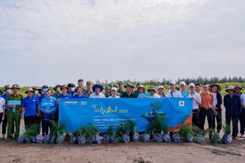 Trồng 13.000 cây phi lao tại rừng phòng hộ ven biển Tiền Giang