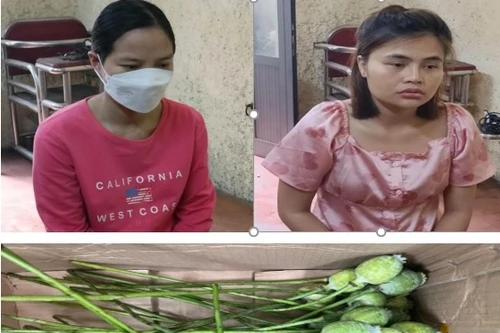 Khởi tố 2 người đàn bà giao dịch thuốc phiện qua mạng