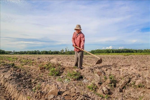 Tín dụng với người hoàn lương: Điểm tựa tái hòa nhập cộng đồng