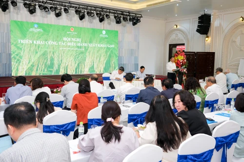 Giữ chất lượng, thương hiệu gạo giữa biến động lương thực toàn cầu