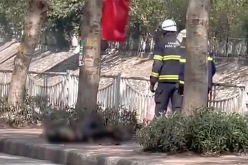 Cơ quan Công an thông tin chính thức về vụ người phụ nữ tự thiêu bên bờ sông Sét