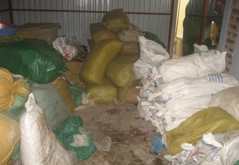 Phát hiện "ổ" sản xuất ô mai... ruồi!