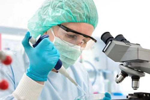 Cuộc sống khó khăn làm thoái hóa ADN