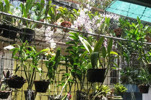 Nhân rộng những điều tốt đẹp