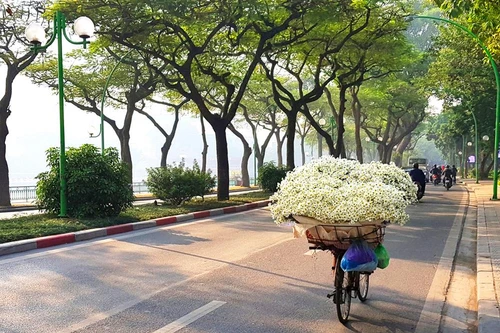 Người Hà Nội háo hức đón mùa “họa mi” xuống phố