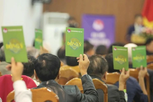 Đại hội VFF sẽ bầu chủ tịch đầu tiên 