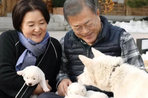 Rắc rối liên quan đến món quà đặc biệt từ Triều Tiên