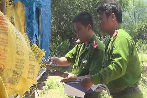 Quảng Ngãi: Một thôn liên tiếp 2 người treo cổ tự tử