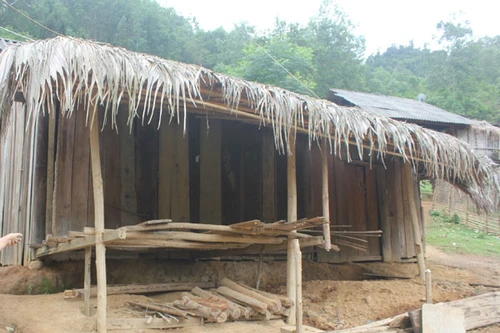 Vụ giết hại dã man 4 người ở Nghệ An: Nghi can và nạn nhân có quan hệ gần gũi