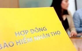 Quy định mới nhất về các trường hợp không được bồi thường bảo hiểm nhân thọ