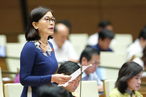 ĐBQH: Tại sao công tác quy hoạch theo Luật Quy hoạch lại chậm và có nhiều vướng mắc?