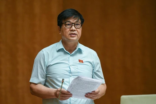 Đại biểu Quốc hội: Cần mở rộng quyền của người trúng đấu giá biển số xe ô tô