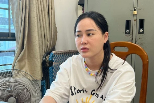 Từ vụ bắt 'Tina Dương' Ninh Thị Vân Anh: 'Lừa đảo' khác 'lạm dụng tín nhiệm chiếm đoạt tài sản' ra sao?