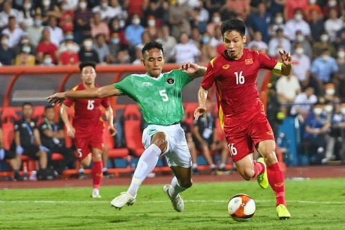 "Phe vé" gây rối trật tự công cộng có thể bị xử lý hình sự