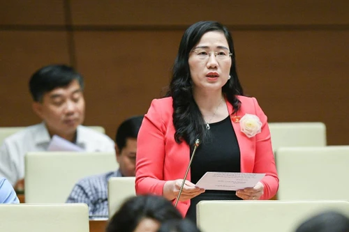 Đại biểu Quốc hội: Giải pháp nào bảo đảm ban hành kết luận thanh tra đúng thời hạn? 