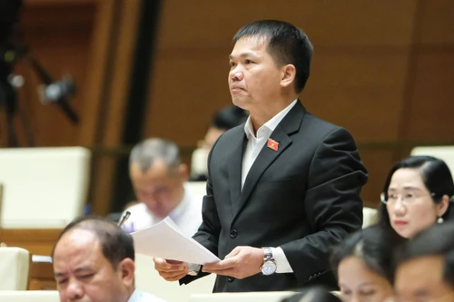 ĐBQH: Cần quy định rõ biện pháp bảo đảm quyền tác giả cho người khuyết tật