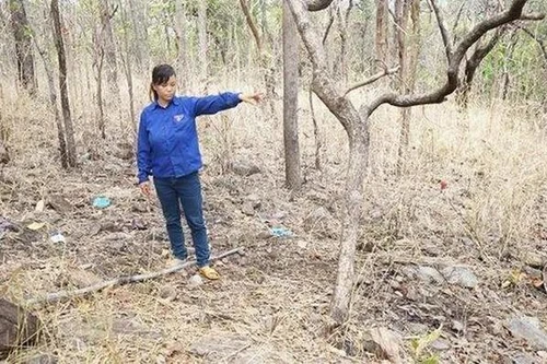 Mức hình phạt nào hành vi sát hại người thân rồi dựng hiện trường giả? 