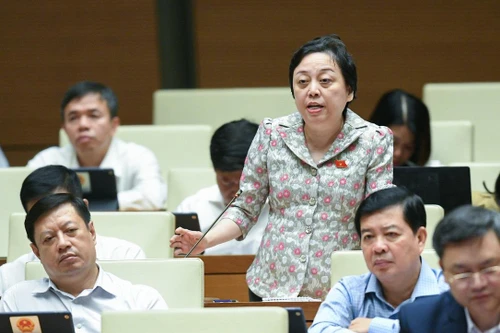 ĐBQH: Không thể lấy giá trúng thầu thuốc năm trước làm giá kế hoạch năm sau