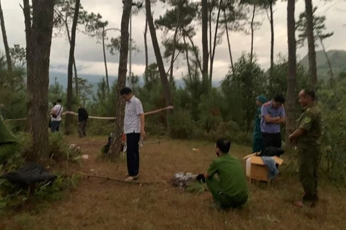 Nữ giáo viên đánh chết người tình trên đồi thông có ở trong trạng thái bị kích động mạnh?